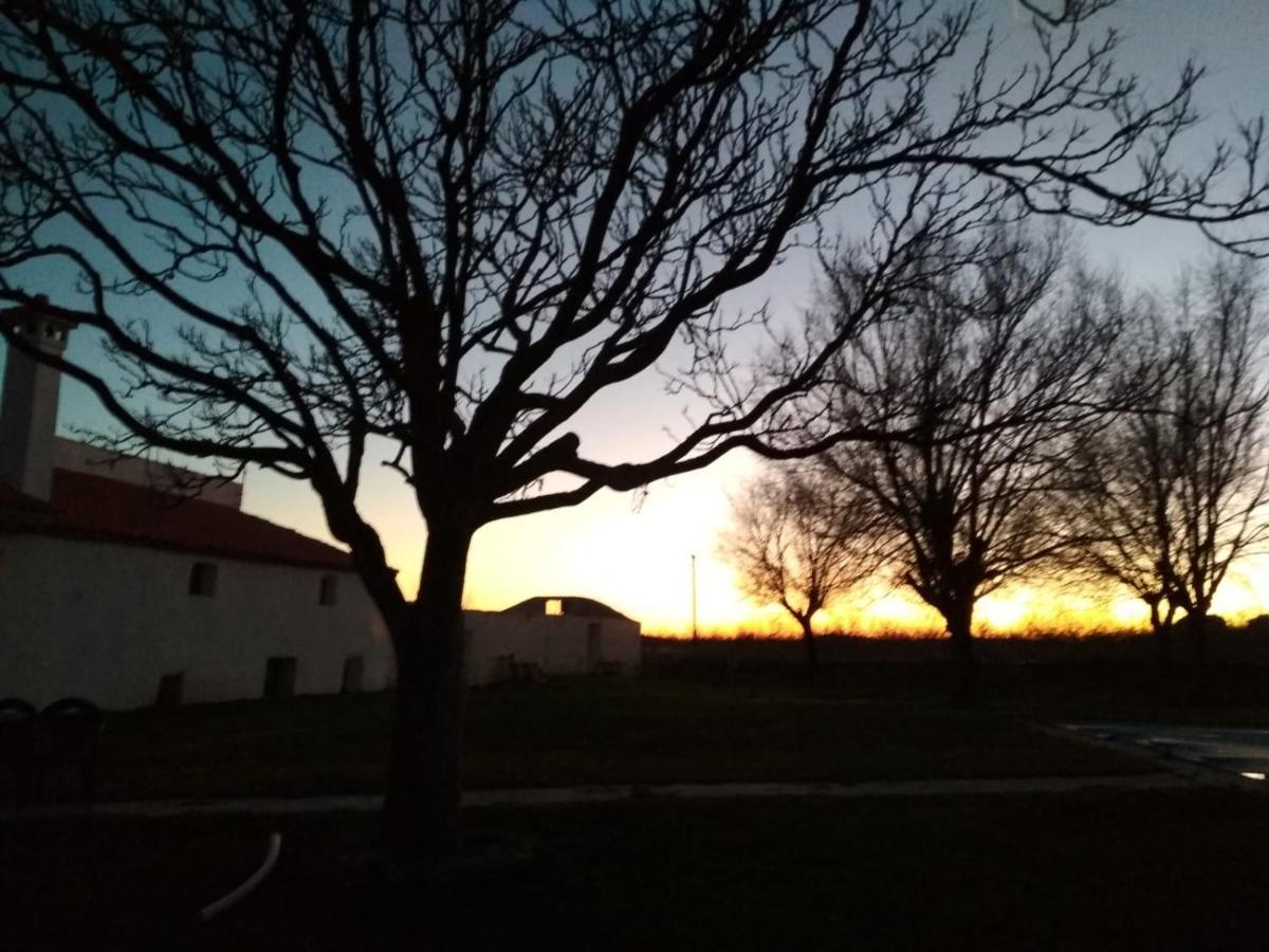 Casa Rural La Galana Albacete Чинчилья-де-Монте-Арагон Экстерьер фото